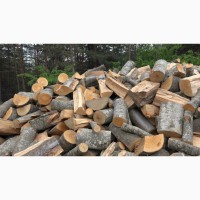 Дрова дубові (рубані, колоті) Горохів дрова граб вільха береза ясен