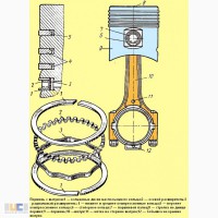 Поршни Д-21