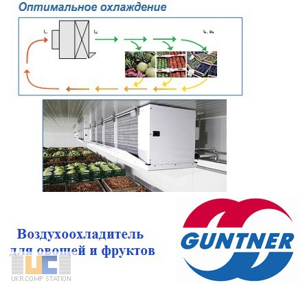 Guntner Agri-Cooler - воздухоохладитель для сельскохозяйственной продукции
