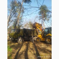 Спил та видалення дерев у Києві та Київській області