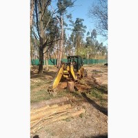 Спил та видалення дерев у Києві та Київській області