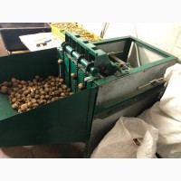 Промислова лінія з переробки волоського горіха