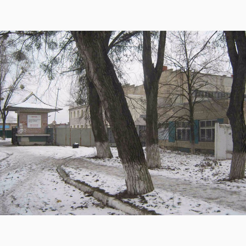 Фото 4. Продам два кирпичных зданияздания ( на фасаде ), город Ирпень, центр, Киев 9 км