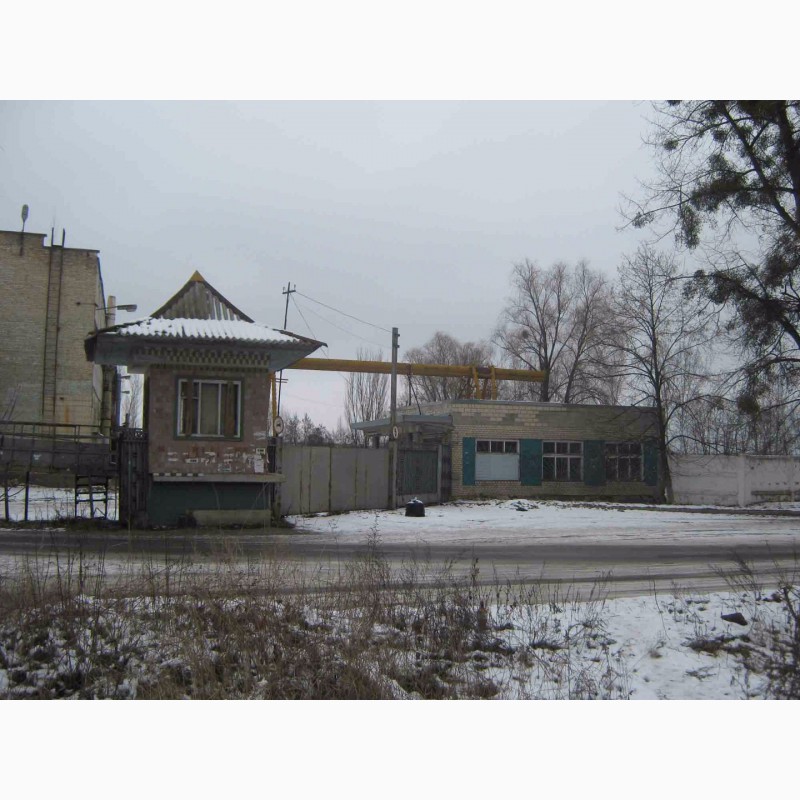Фото 9. Продам два кирпичных зданияздания ( на фасаде ), город Ирпень, центр, Киев 9 км