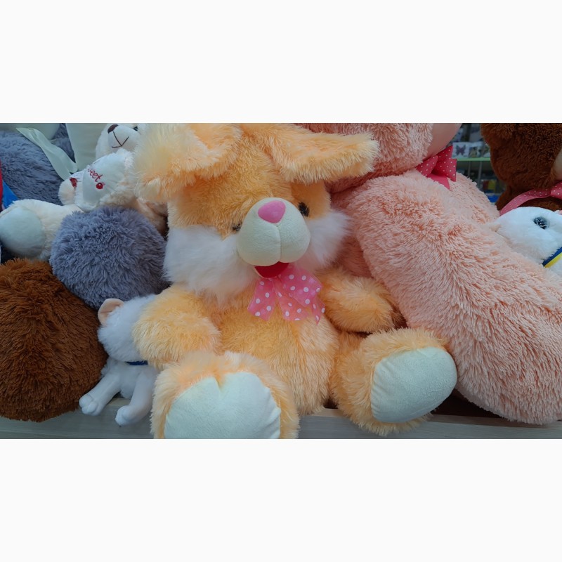 Фото 2. Купити м’які іграшки українських виробників