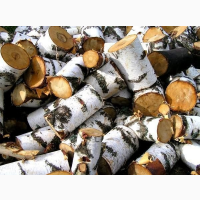 Купити рубані дрова Ківерці доступні ціни