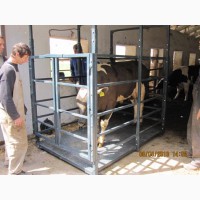 Весы для животных, КРС, свиней, коров 600, 1500, 3000 кг